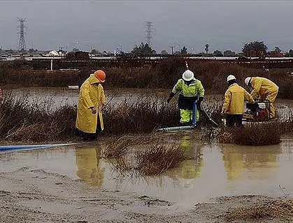 Mayfield Environmental Solutions Picture 4