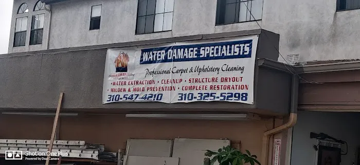 Vorte Restoration Services Picture 5