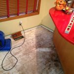 Vorte Restoration Services