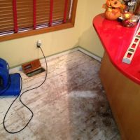 Vorte Restoration Services ico