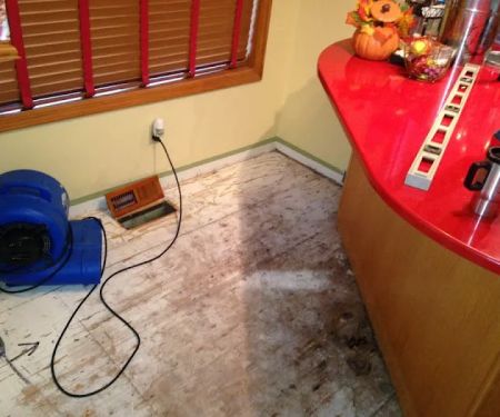 Vorte Restoration Services