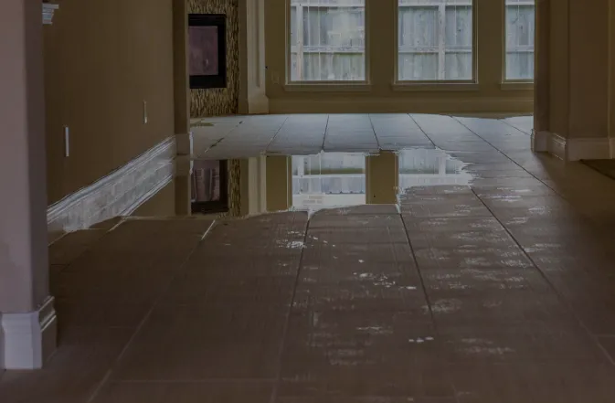 Victoan Water restoration Picture 5