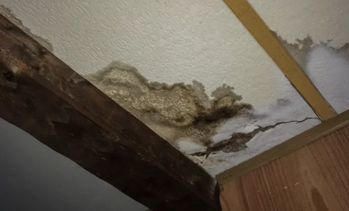 Victoan Water restoration Picture 8