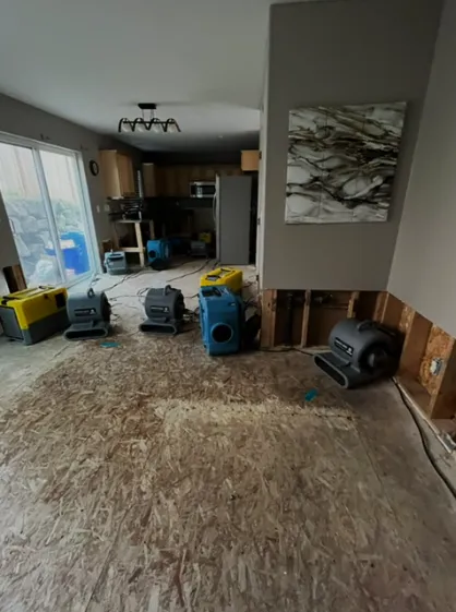 Victoan Water restoration Picture 2