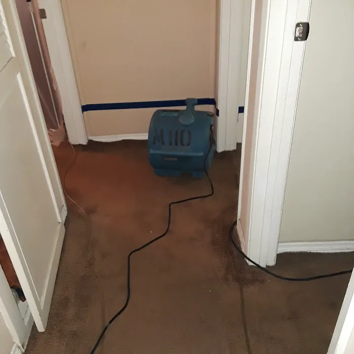 Danny's Emergency Water Damage Picture 8