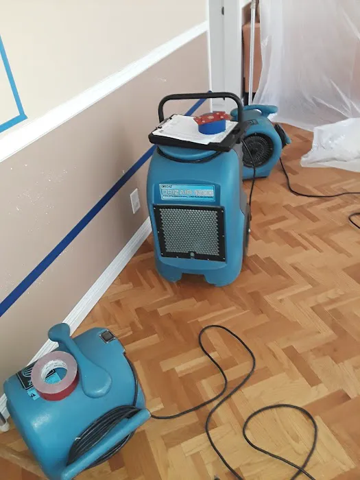 Danny's Emergency Water Damage Picture 1