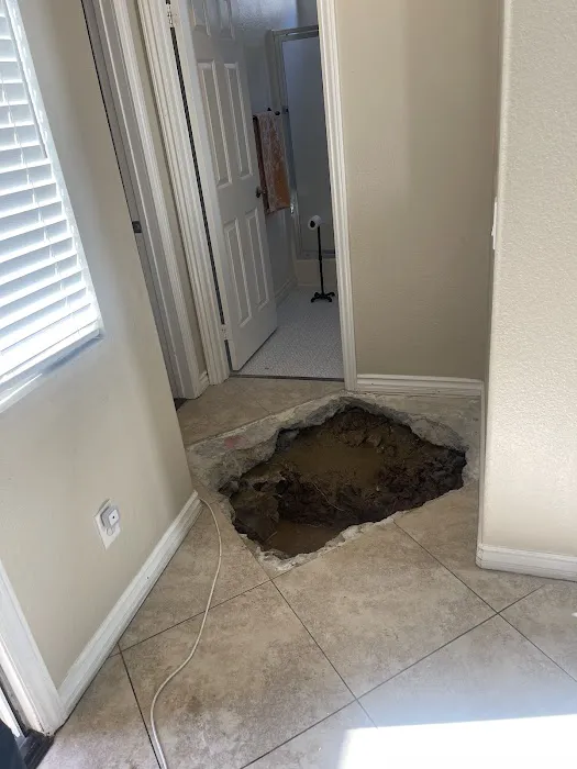 All County Environmental & Restoration Picture 4