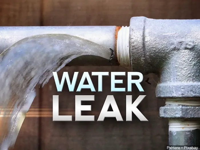 Total Restore Picture 10