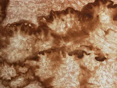 SAS 365 Restoration Picture 3