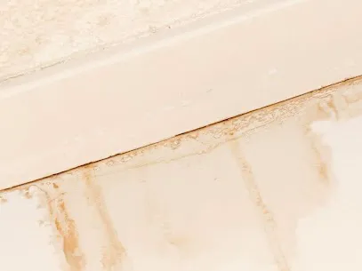 SAS 365 Restoration Picture 1