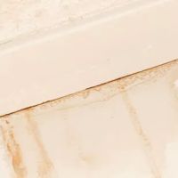 SAS 365 Restoration ico