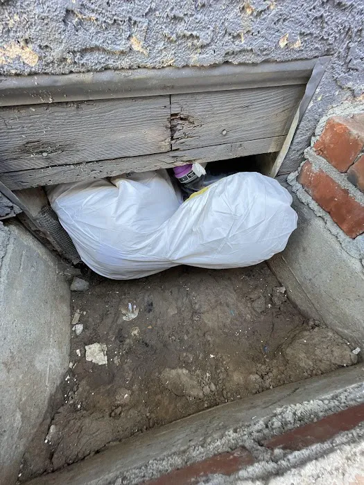 Ready Restore OC Picture 6