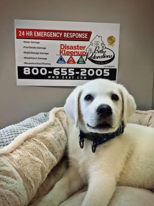 Disaster Kleenup Better Restorations Picture 3