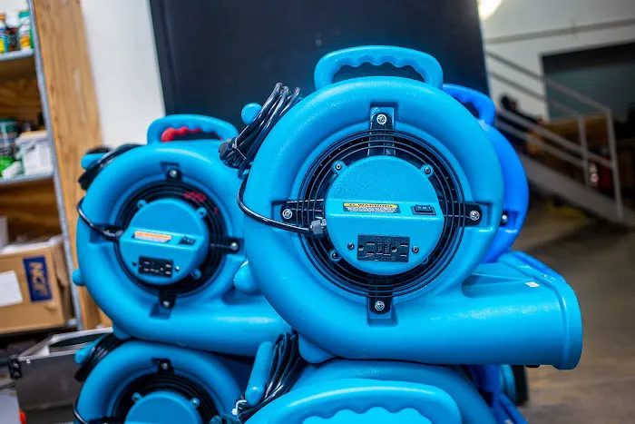 Sasser Restoration Picture 4