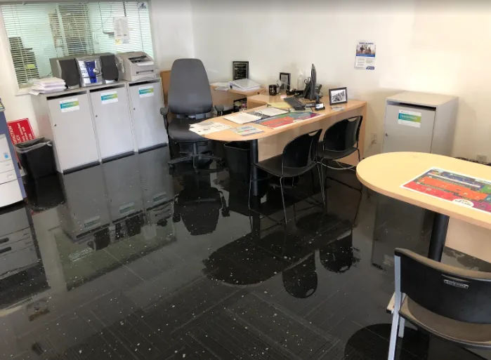 North Star Restoration Picture 1