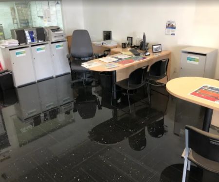 North Star Restoration