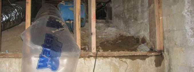 Coast To Coast Water Damage & Restoration, Inc. Picture 6