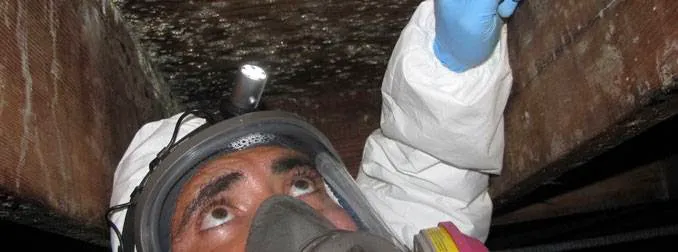 Coast To Coast Water Damage & Restoration, Inc. Picture 2