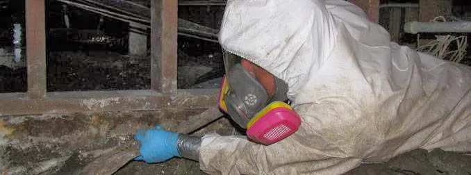 Coast To Coast Water Damage & Restoration, Inc. Picture 1