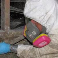 Coast To Coast Water Damage & Restoration, Inc. ico