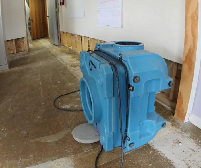 Aqua Fast Water Damage Clean up and Mold Remediation Picture 7