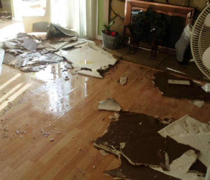 Aqua Fast Water Damage Clean up and Mold Remediation Picture 6