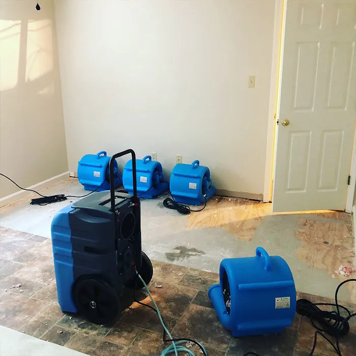 Aqua Fast Water Damage Clean up and Mold Remediation Picture 8