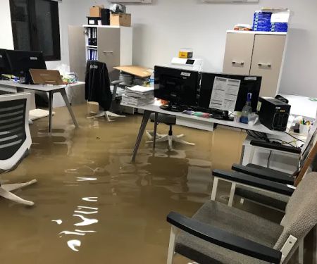 Aqua Fast Water Damage Clean up and Mold Remediation