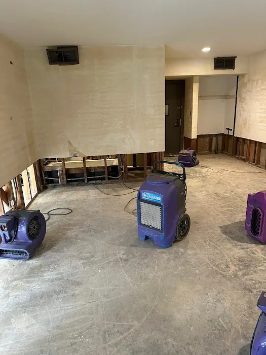 Rapid Response Restoration Picture 3