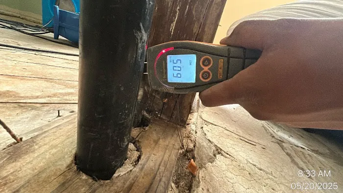 Rapid Response Restoration Picture 2