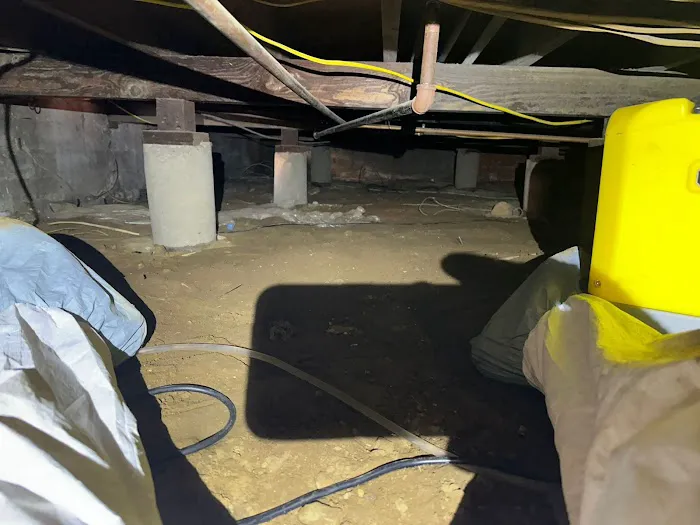 Rapid Response Restoration Picture 1