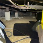 Rapid Response Restoration