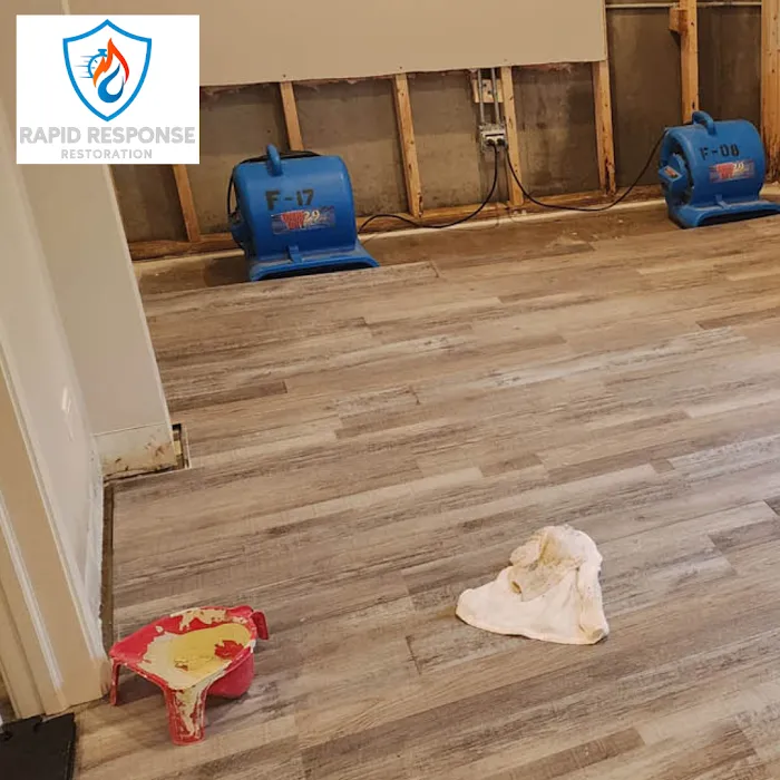 Rapid Response Restoration Picture 8