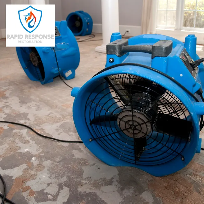 Rapid Response Restoration Picture 10