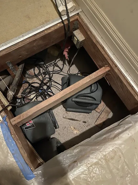 Trust Restoration Inc Picture 1