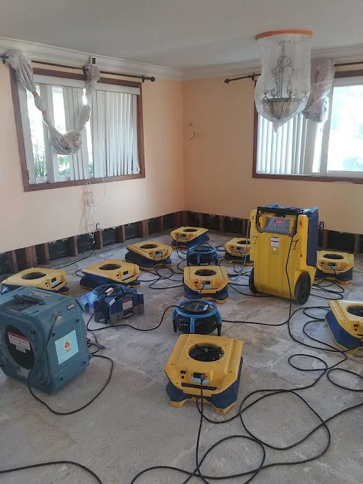 Sky Restoration Service( water,fire,mold damage restoration) Picture 9