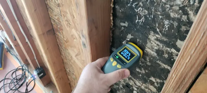 Sky Restoration Service( water,fire,mold damage restoration) Picture 2