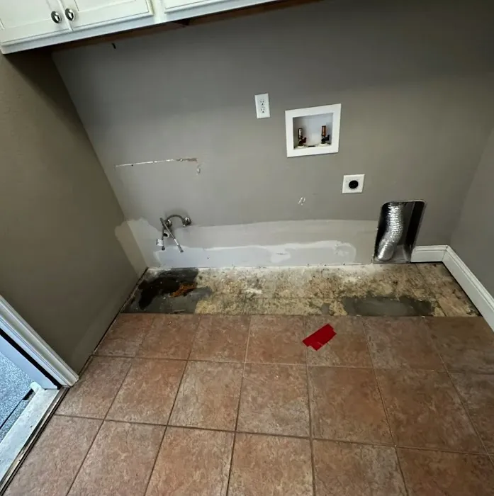 IN & OUT Water Damage Restoration Reseda Picture 3