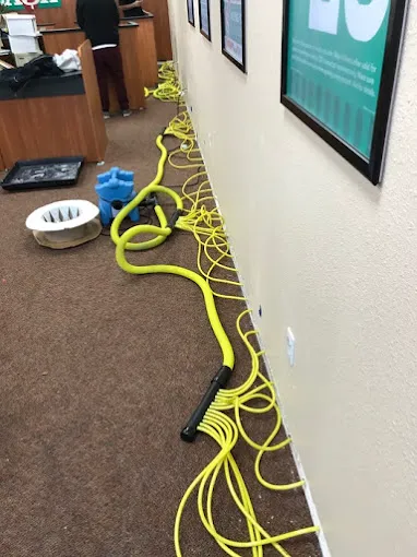 911 Restoration of Sherman Oaks & Studio City Picture 2