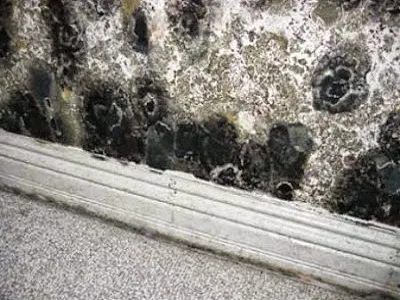 1st Responders Fire Damage Restoration Van Nuys Picture 2