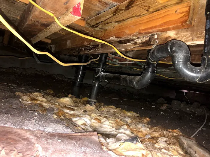 First to Respond Picture 7