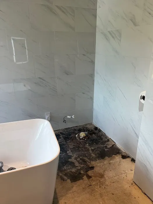 911 Restoration of Eastern Los Angeles Picture 2