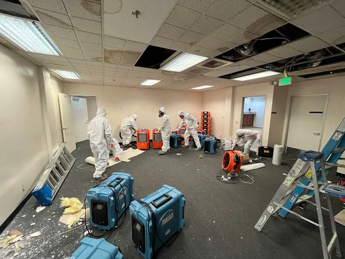 911 Restoration of Eastern Los Angeles Picture 3