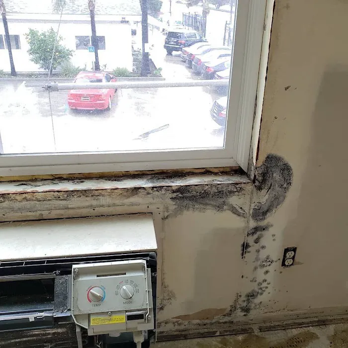 Insurance Restoration Xperts Picture 9