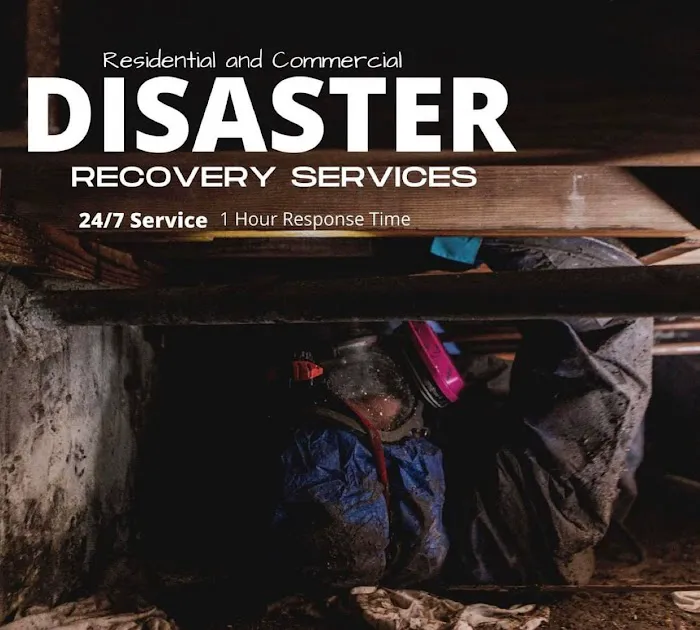 Insurance Restoration Xperts Picture 2