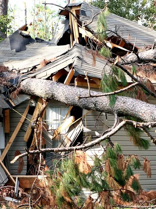 Insurance Restoration Xperts Picture 6