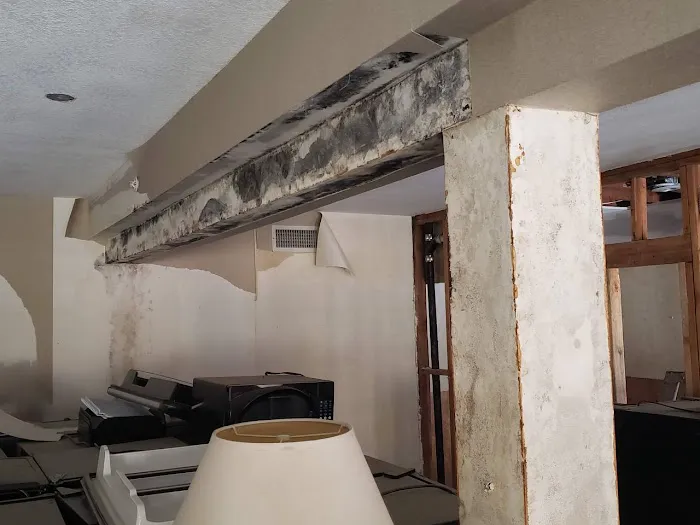 Insurance Restoration Xperts Picture 3