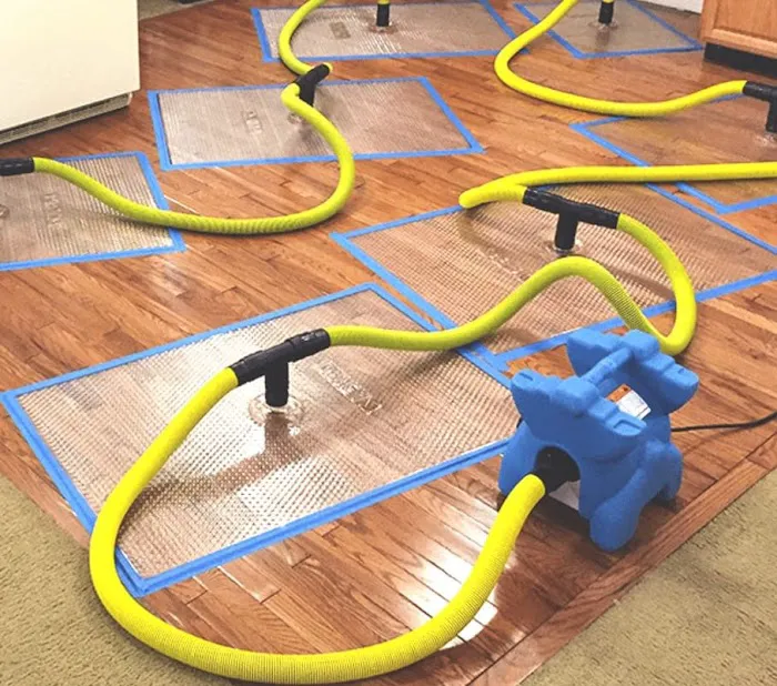 Clean and Dry Restoration Picture 1