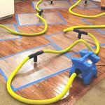 Clean and Dry Restoration