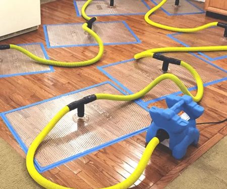 Clean and Dry Restoration